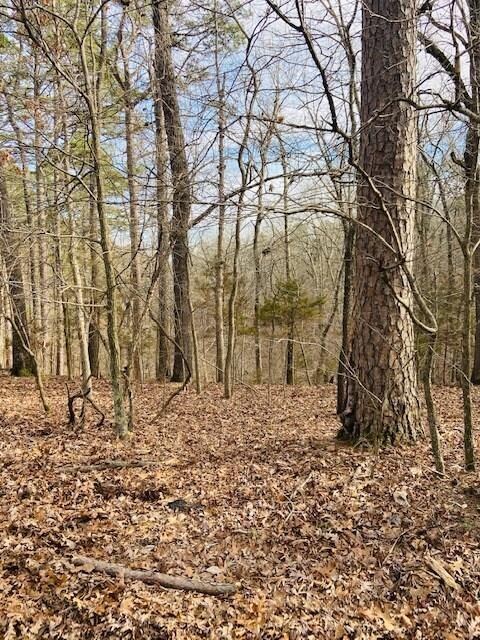 21535 Ridgeview Ln, Rogers, AR 72756 - photo 3