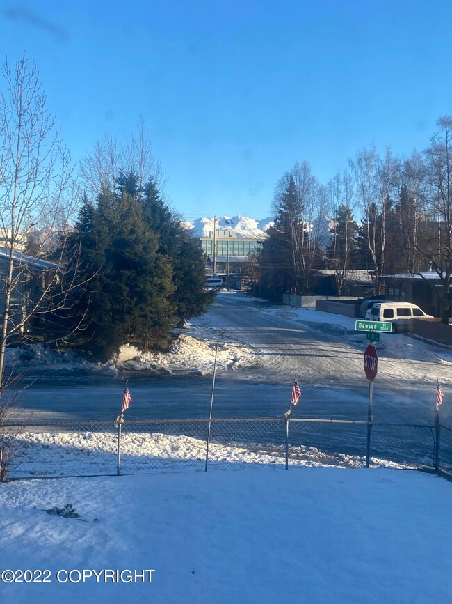 Mt View