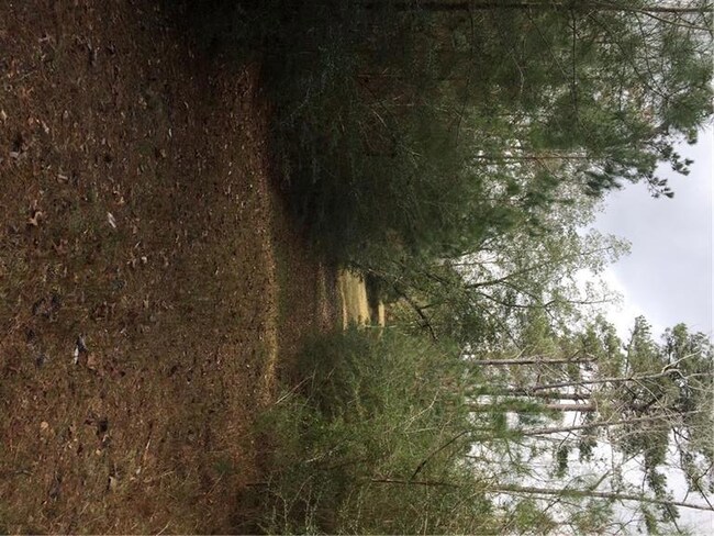 24375 Pope Rd, Franklinton, LA 70438 - photo 6