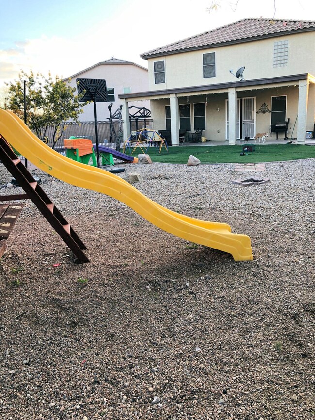 Back yard