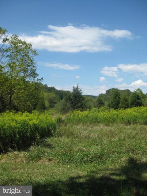 0 Keefer Rd unit 1002934936, Big Pool, MD 21711 - photo 3