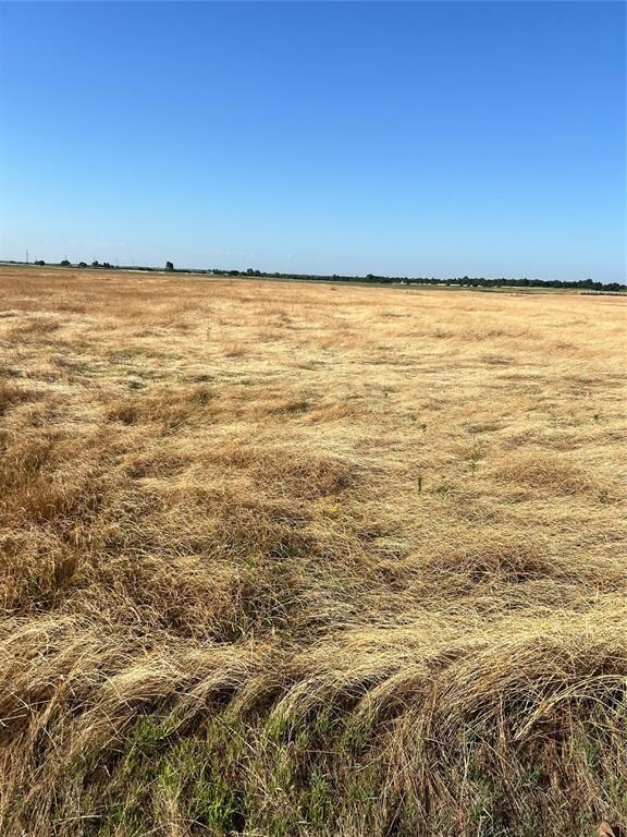 View of local wilderness with a rural view