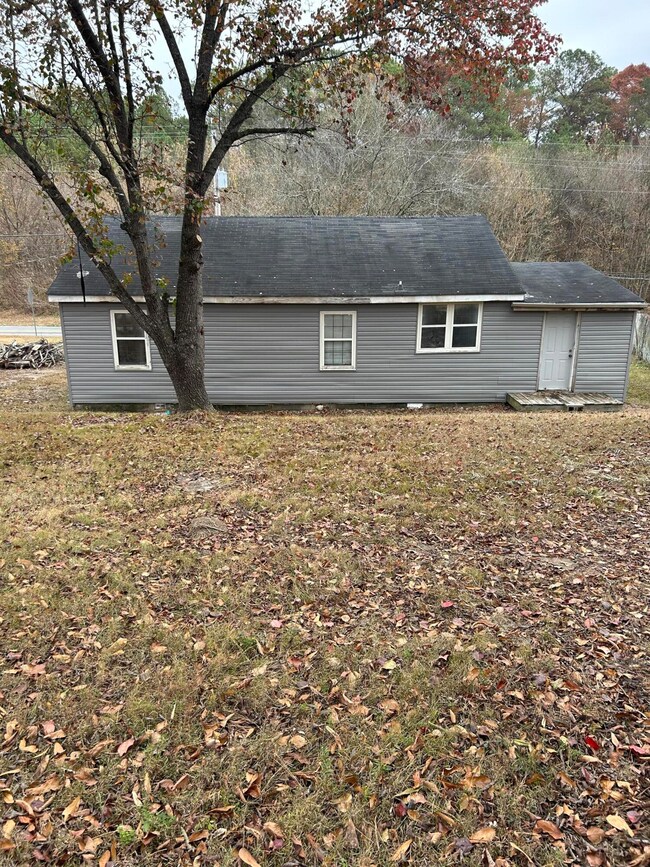 back yard
