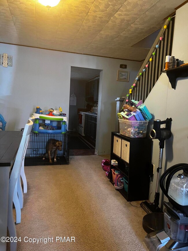 333 S West St, Shenandoah, PA 17976 - photo 3