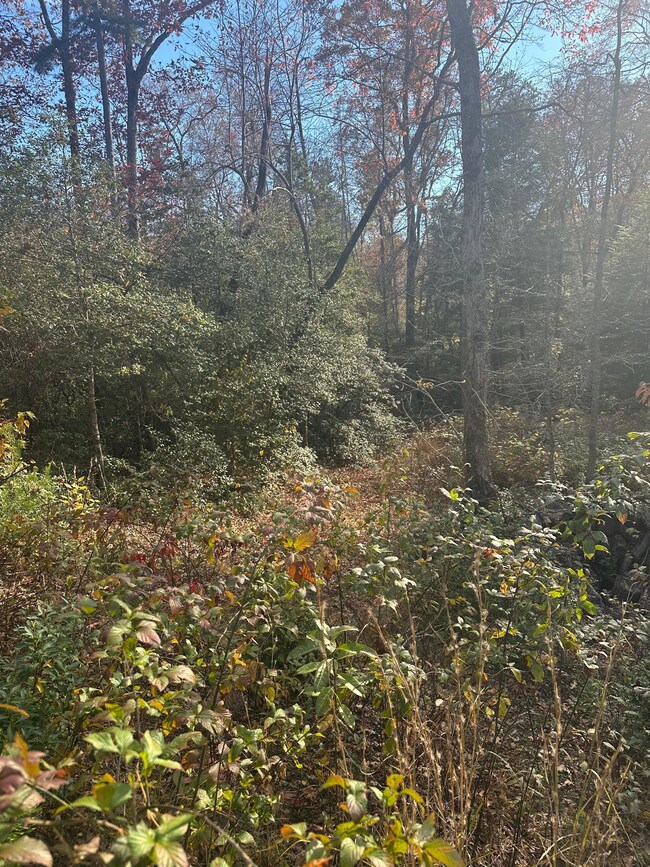 4982 Colony Rd, Gruetli Laagr, TN 37339 - photo 3