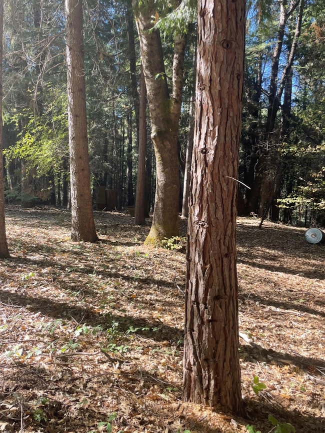 0 Railfence Rd unit 225056391, Alta, CA 95701 - photo 2