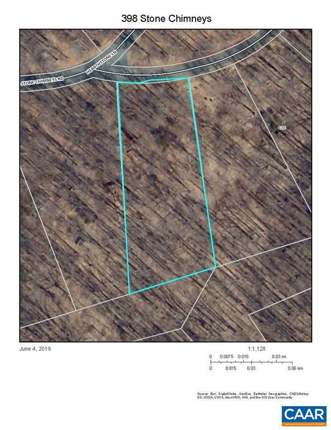 398 Stone Chimneys Rd unit I5, Nellysford, VA 22958 - photo 4