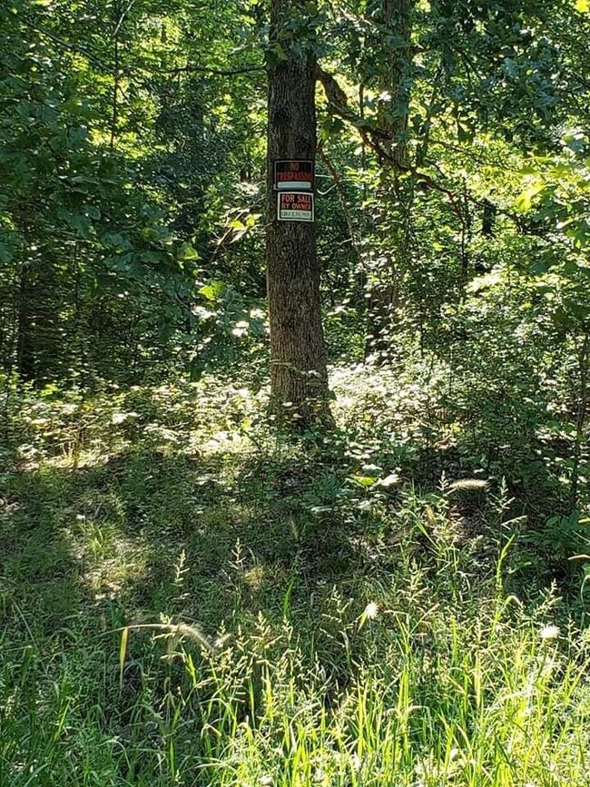 1081 Edenway Rd, Dover, TN 37058 - photo 7