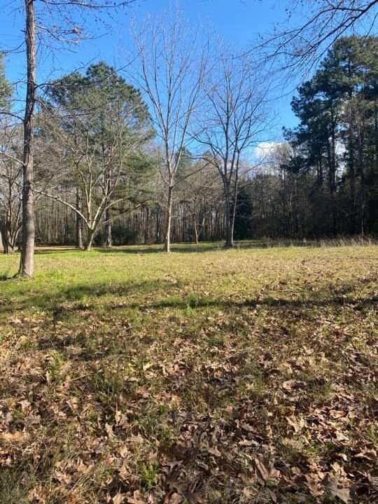 LAND PHOTO