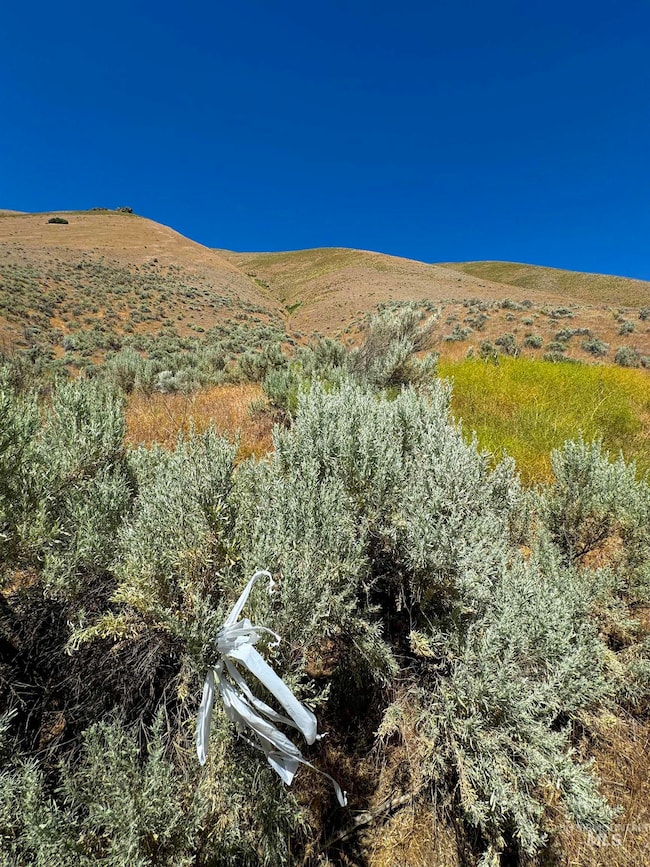 Lot 2, Parcel 1 Dennett Creek Rd, Weiser, ID 83672 - photo 5