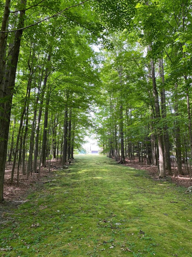 1969 Lake Ariel Hwy, Lake Ariel, PA 18436 - photo 5