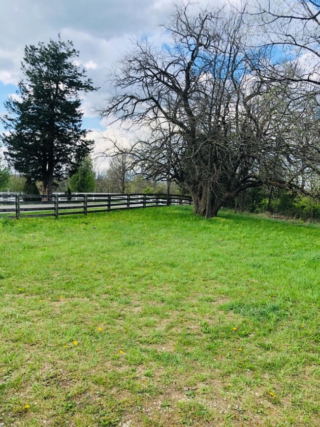 1890 Central Pike, Harrodsburg, KY 40330 - photo 6