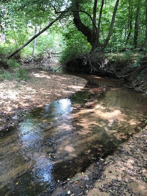 Shockhoe Creek