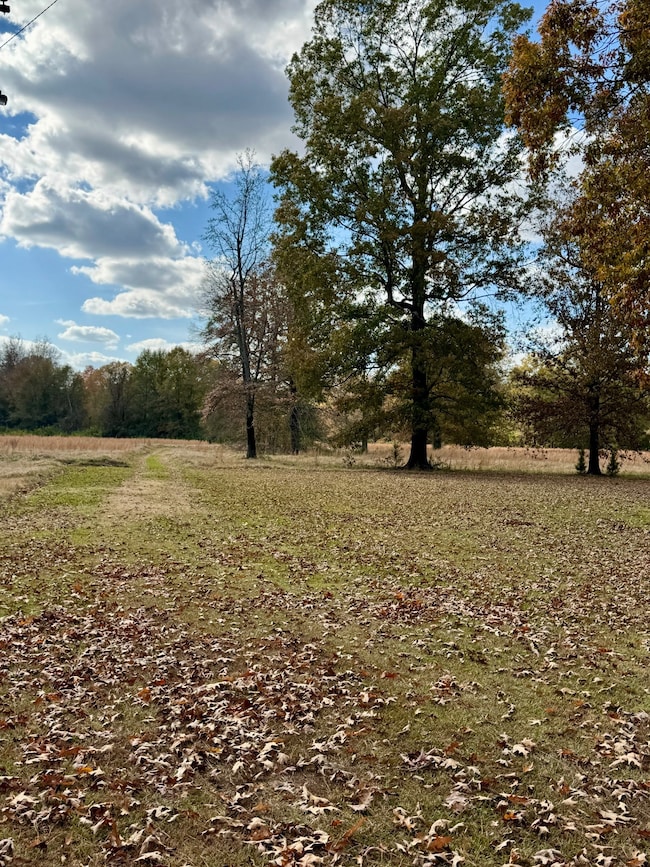 TBD Pleasant Hill Rd, Haworth, OK 74740 - photo 4