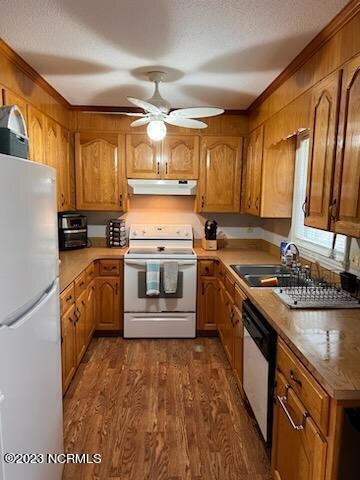 152 Sloop Point Loop Rd, Hampstead, NC 28443 - photo 4