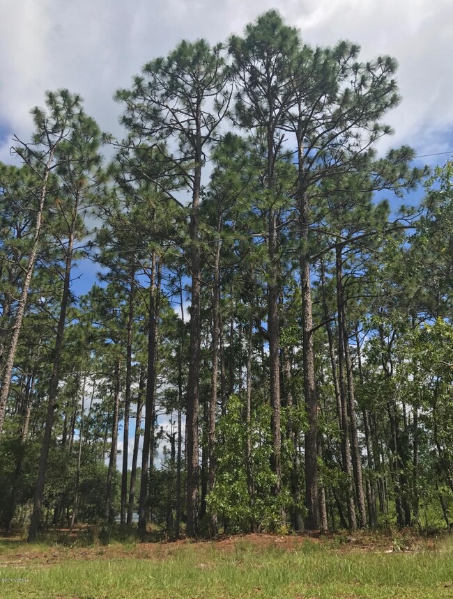 Lot 1 , Spring Lake Drive