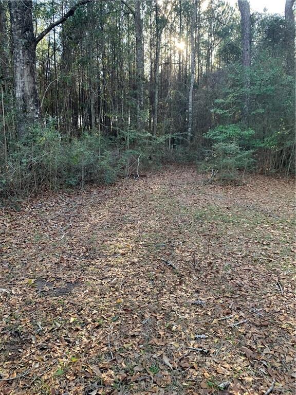 5978 Perryman Ln, Osyka, MS 39657 - photo 6