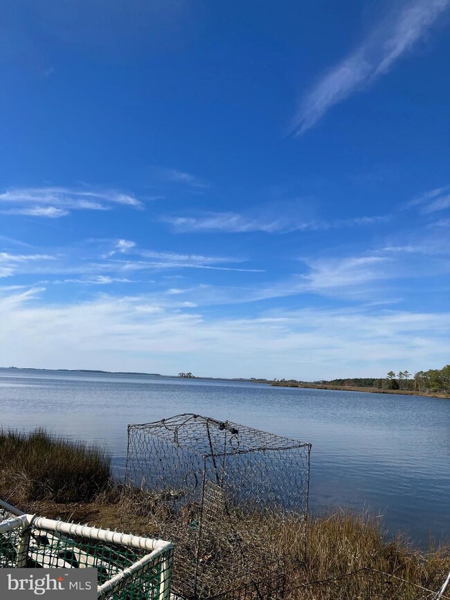 1866 Saint Thomas Church Rd, Toddville, MD 21672 - photo 5