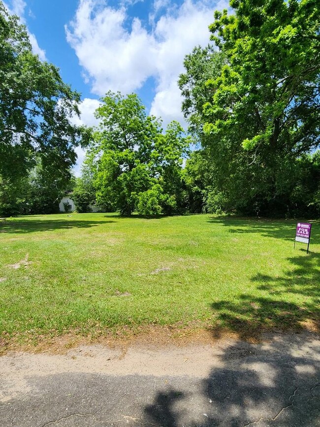 0 Saunders St SW unit 161699, Pelham, GA 31779 - photo 2