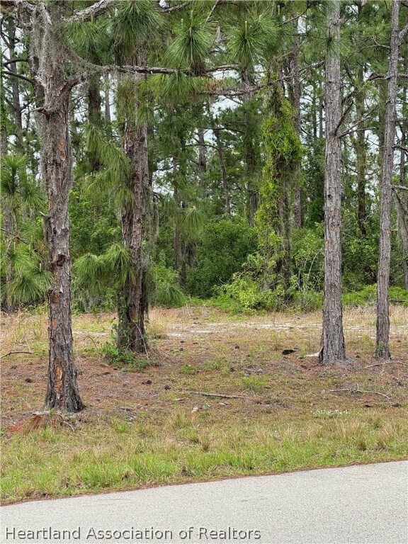 612 Concert Dr, Lake Placid, FL 33852 - photo 5