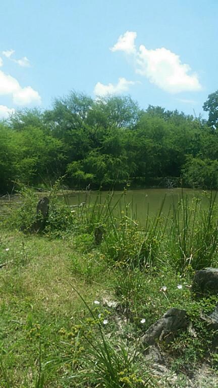 0 Spell Rd unit 24617537, Needville, TX 77461 - photo 5