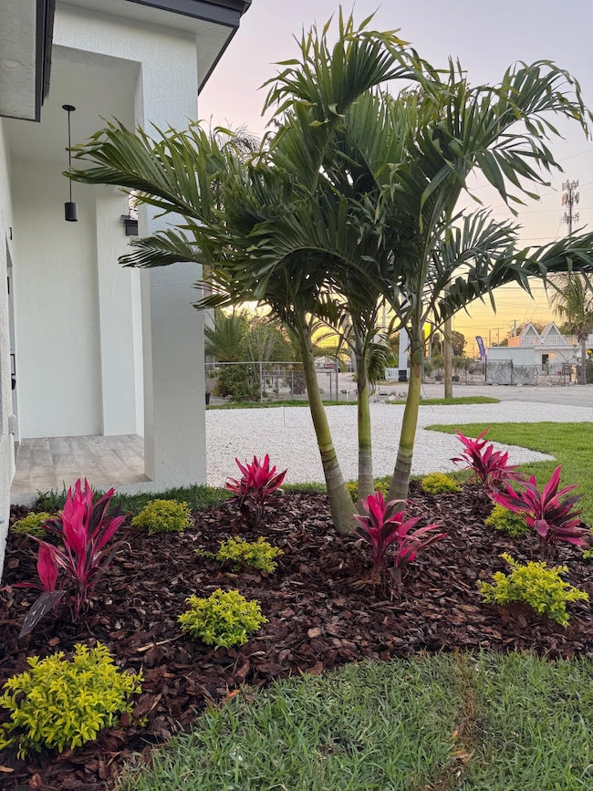 3 Abaco landscape
