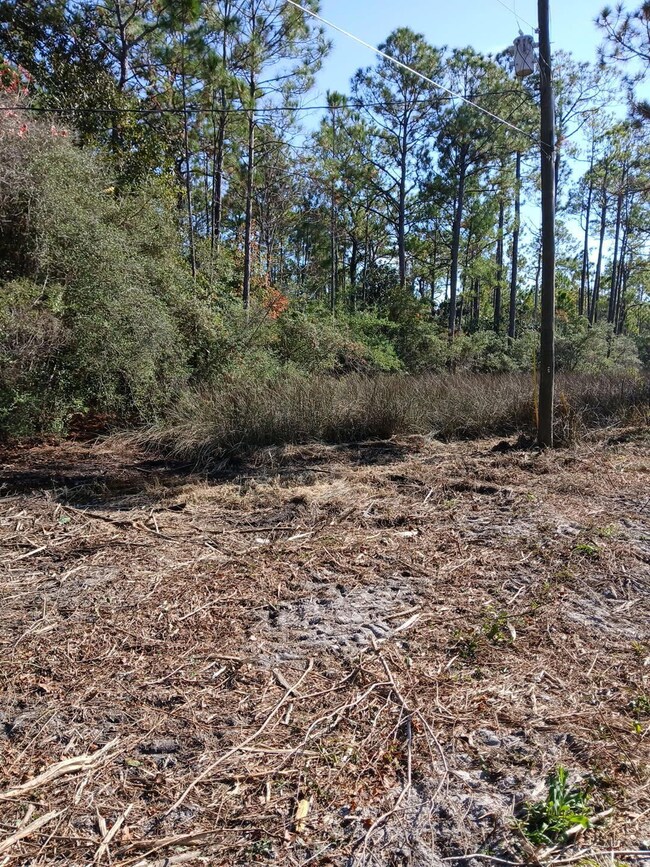 15 Santa Pine St, Santa Rosa Beach, FL 32459 - photo 7