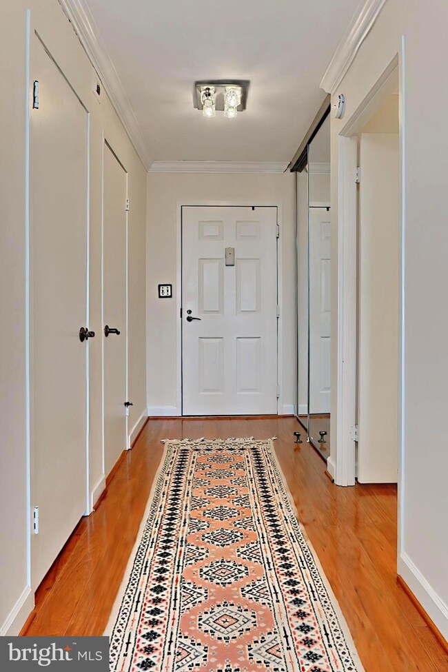 5901 Mount Eagle Dr unit 1003, Alexandria, VA 22303 - photo 5