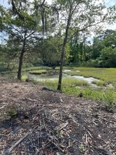 123 Killgriffe, Saint Simons Island, GA 31522 - photo 5