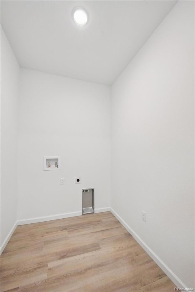 5583 Brangus Dr, Windsor, CO 80528 - photo 5