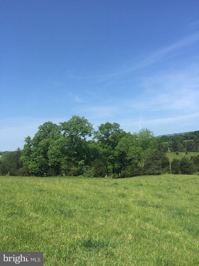 0 Not On File unit 1003289369, Maurertown, VA 22644 - photo 3