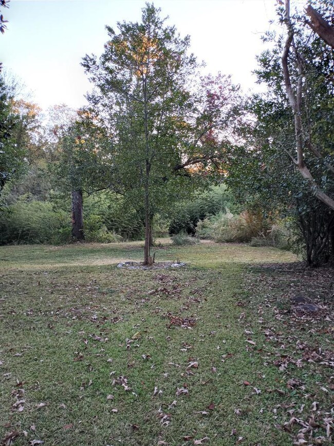 Deep Back Yard