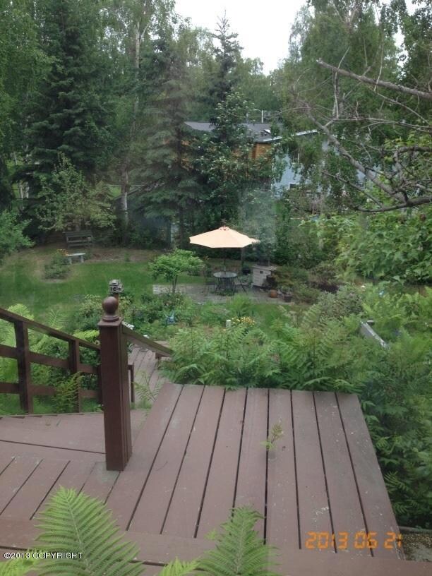 Back yard garden