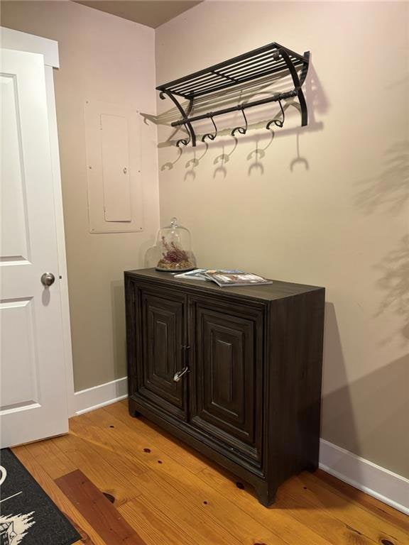 Owner's Closet at entryway