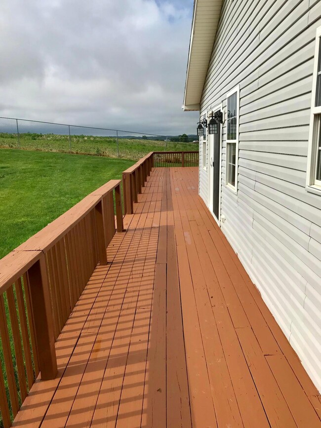 Back Patio