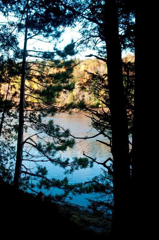 28 Kaler Rd, Belfast, ME 04915 - photo 3