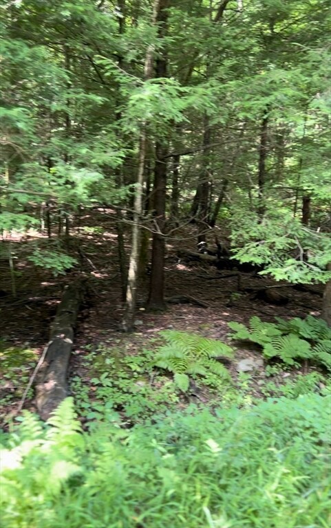 Lot W/S Haydenville Rd, Whately, MA 01093 - photo 6