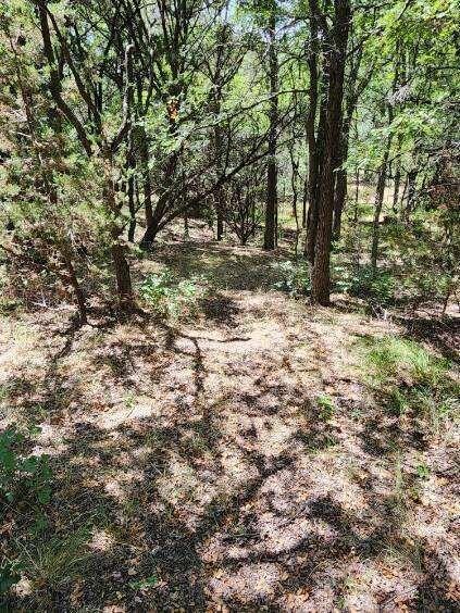 7098 Cedar Valley Dr, Whitney, TX 76692 - photo 5