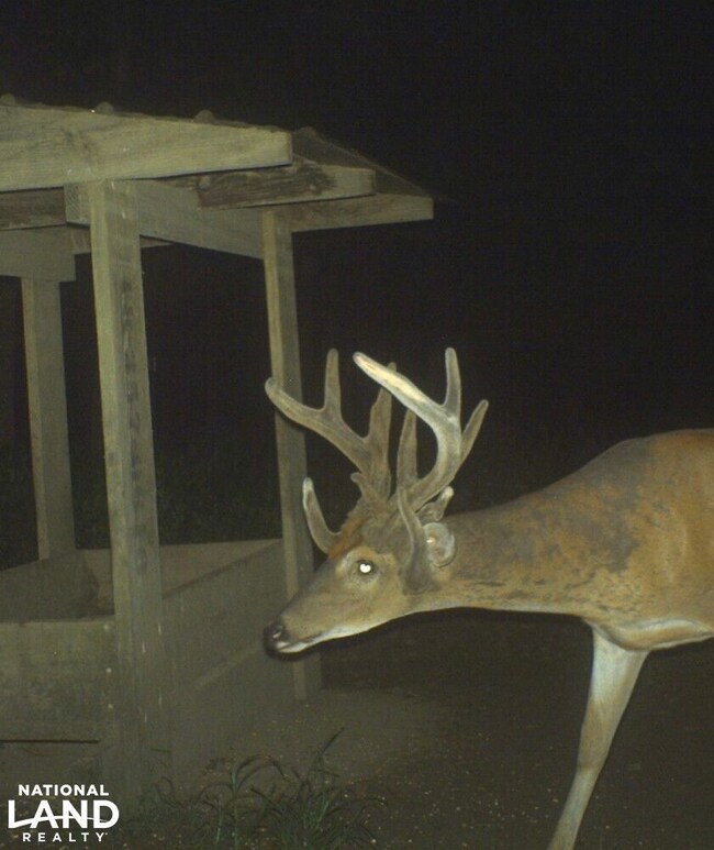 201 Hodge Rd, Tallulah, LA 71336 - photo 6