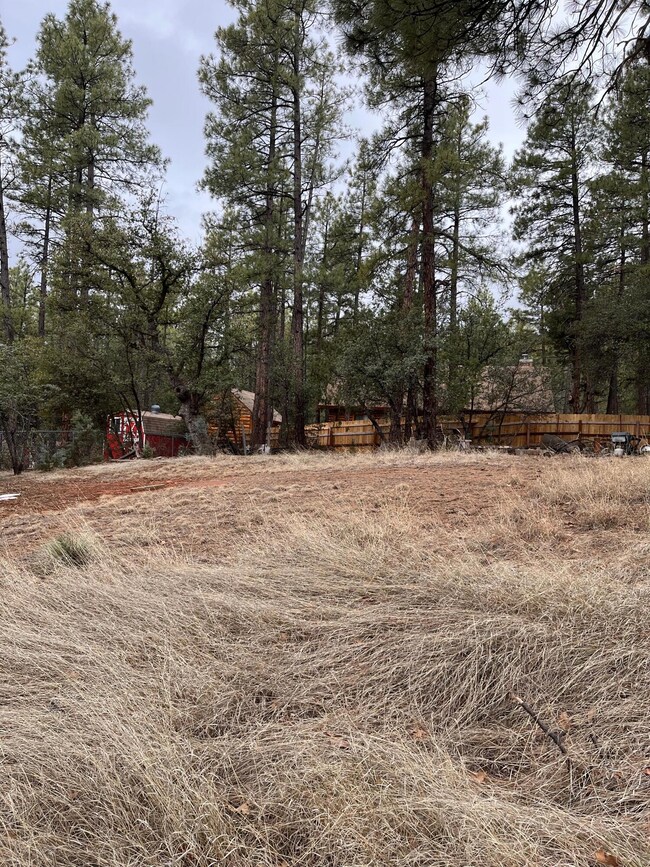 173 Hunt Dr, Pine, AZ 85544 - photo 4