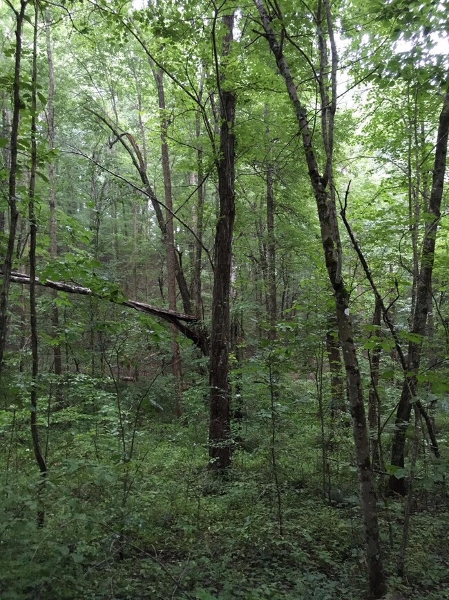 4182 Mildred Rd, Tyner, KY 40486 - photo 4