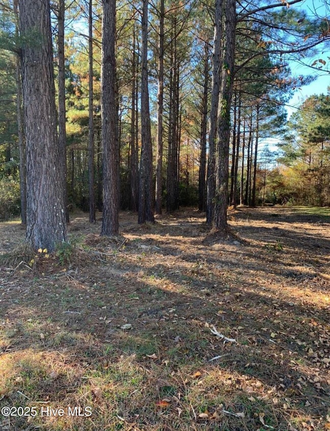 220 Colleton Ct, Edenton, NC 27932 - photo 2