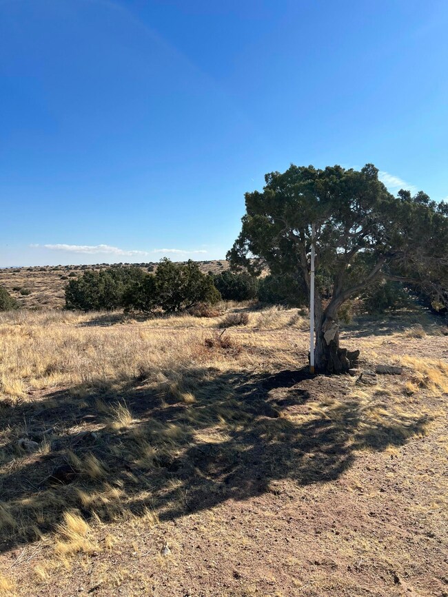 0 Vic Rushing Creek Small unit 25001152, Palmdale, CA 93550 - photo 4