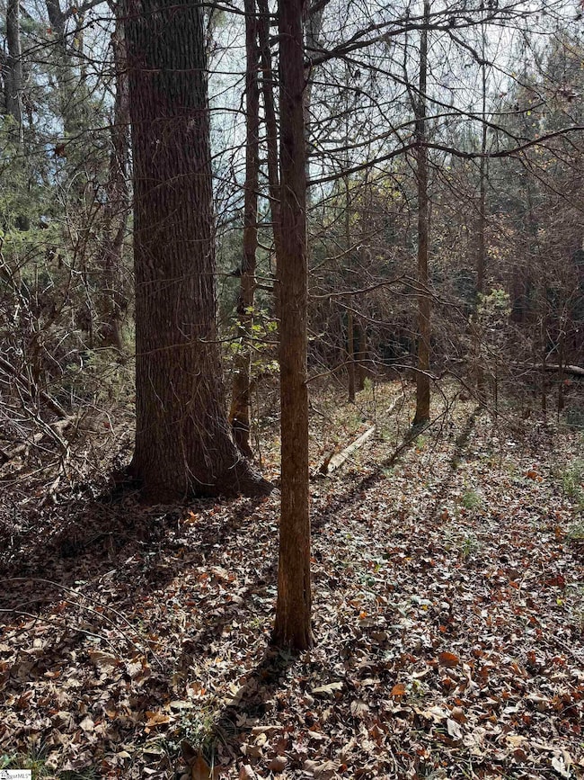 00 High Point Rd, Saluda, SC 29138 - photo 4