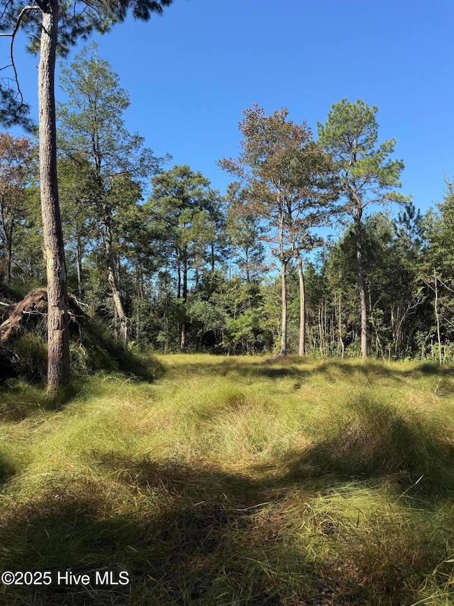 Off Earl Price Rd, Deep Run, NC 28525 - photo 6