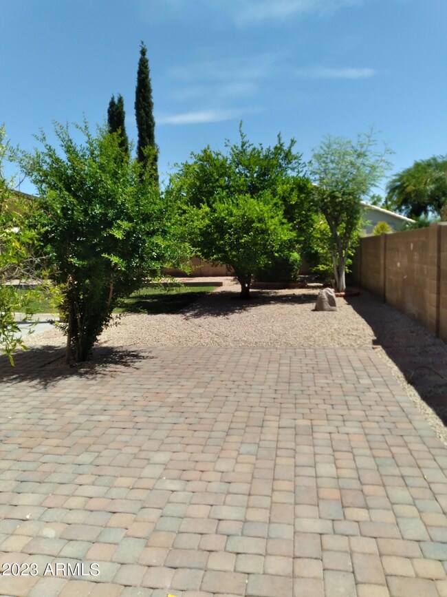 Backyard Side Yard Paved