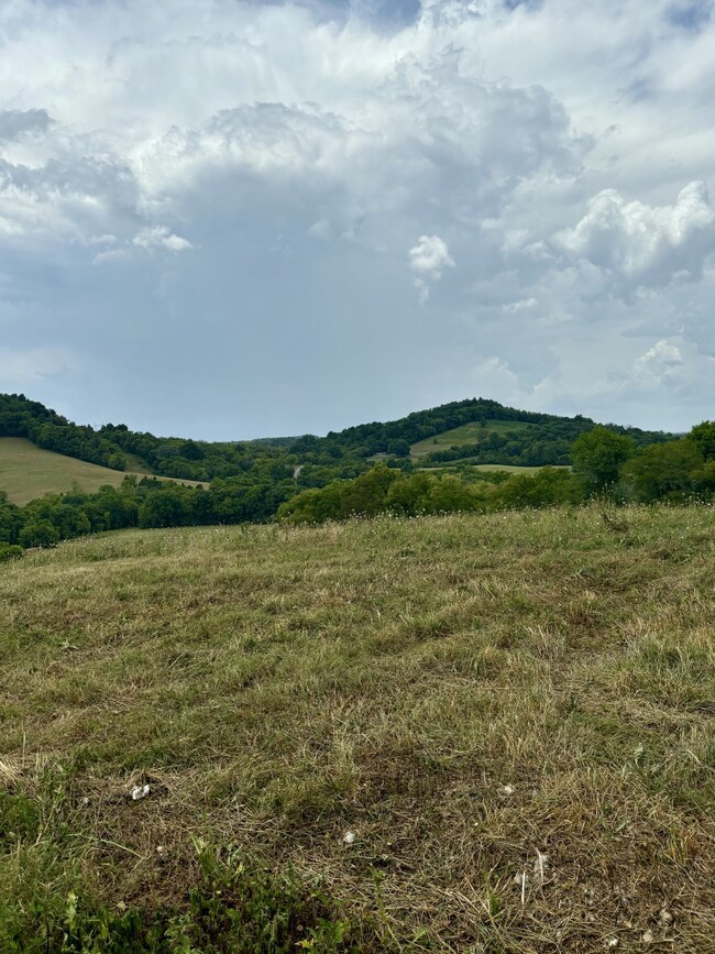 0 Mclaughlin Ln unit RTC2688353, Shelbyville, TN 37160 - photo 7