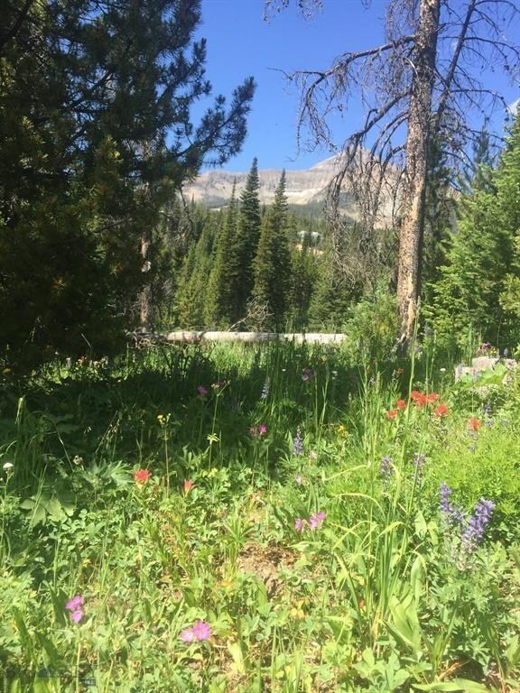 TBD White Otter Rd, Big Sky, MT 59716 - photo 5