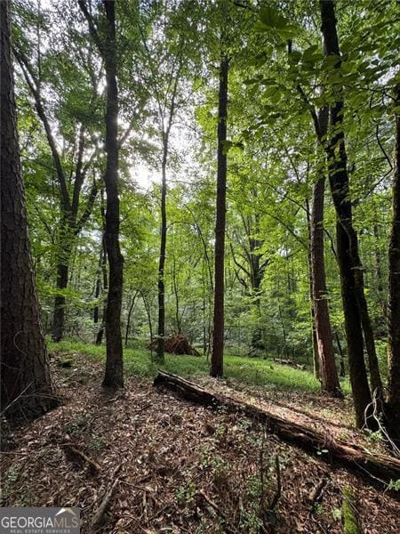 0 Saffold Rd unit 10560494, Buckhead, GA 30625 - photo 6