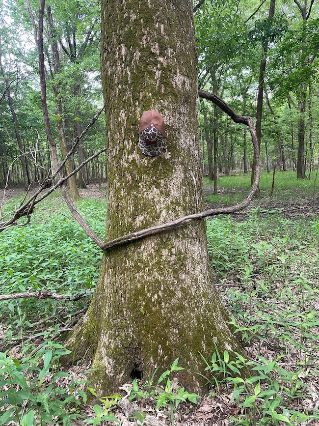 Highway 6, Marks, MS 38646 - photo 6